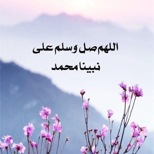 ℱℴℴ𝓏 tweet media