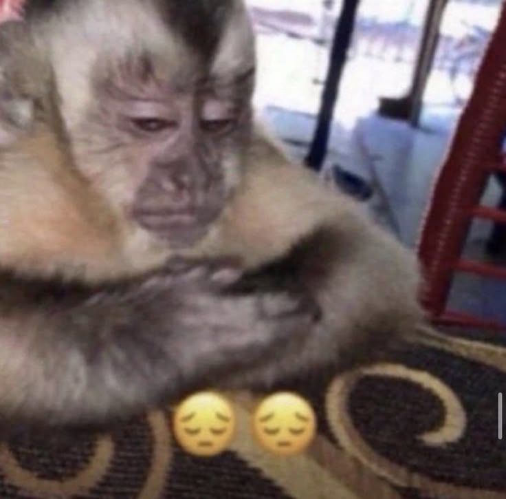 nnonuwu's tweet image. Abis ybs klarif beda banget ya tanggapannya "makasih udah ngaku, lain kali research dulu" gitu doang??? perasaan kemaren kaga begitu dah mainnya