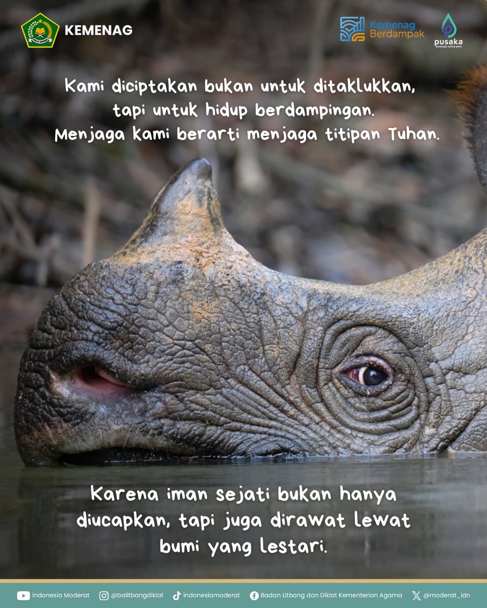 moderat_idn's tweet image. Ekoteologi mengajak kita hidup berdampingan—menjaga yang rapuh, memulihkan yang rusak.

Mulai sekarang, kita jaga alam bersama ya!🌱

#BMBPSDM
#KemenagRI
#ModerasiBeragama
#KitaSemuaSama
#ExellenceIsOurTradition