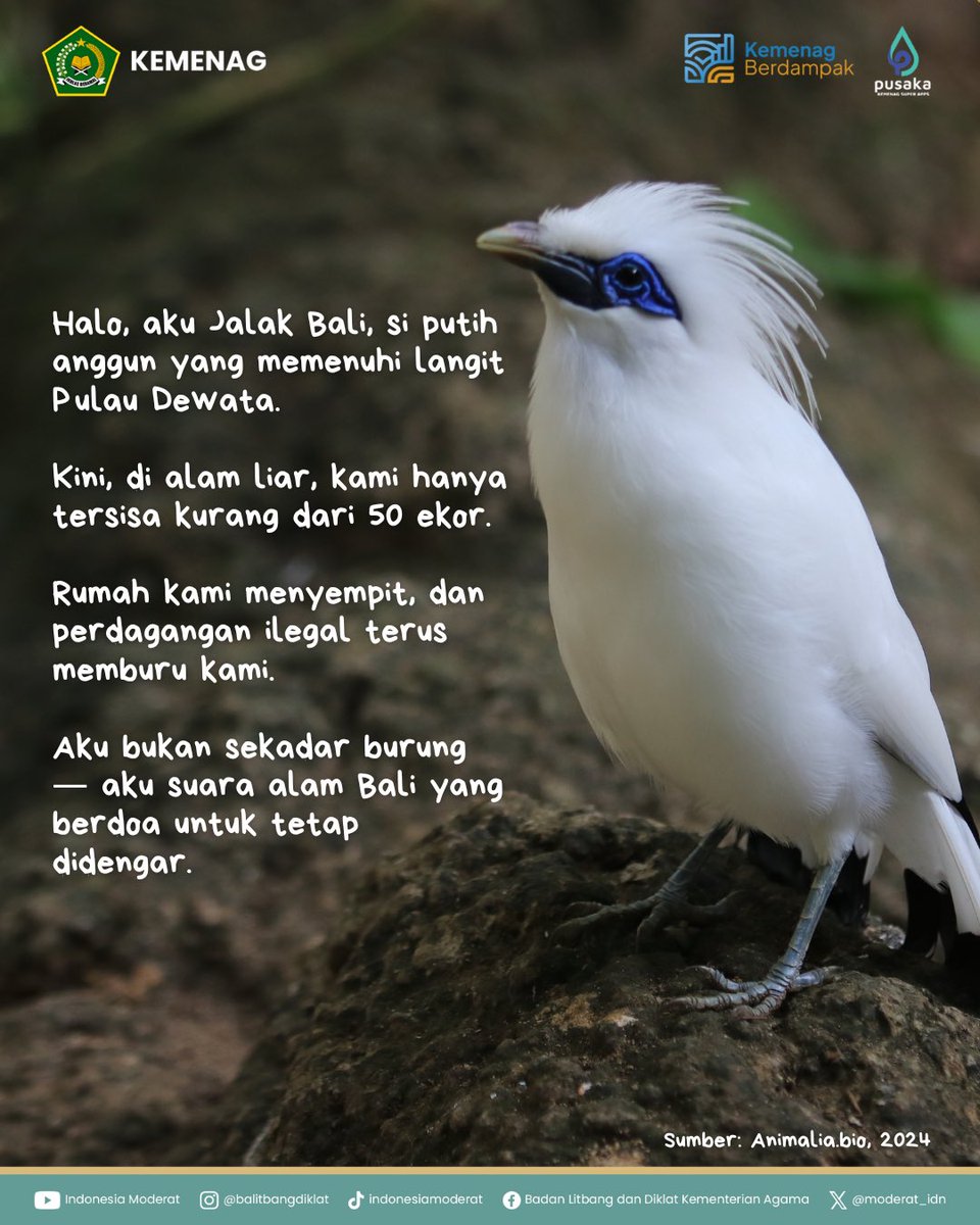 moderat_idn's tweet image. Ekoteologi mengajak kita hidup berdampingan—menjaga yang rapuh, memulihkan yang rusak.

Mulai sekarang, kita jaga alam bersama ya!🌱

#BMBPSDM
#KemenagRI
#ModerasiBeragama
#KitaSemuaSama
#ExellenceIsOurTradition