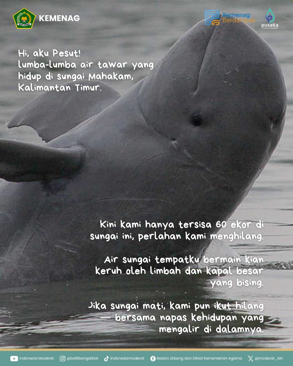 moderat_idn's tweet image. Ekoteologi mengajak kita hidup berdampingan—menjaga yang rapuh, memulihkan yang rusak.

Mulai sekarang, kita jaga alam bersama ya!🌱

#BMBPSDM
#KemenagRI
#ModerasiBeragama
#KitaSemuaSama
#ExellenceIsOurTradition