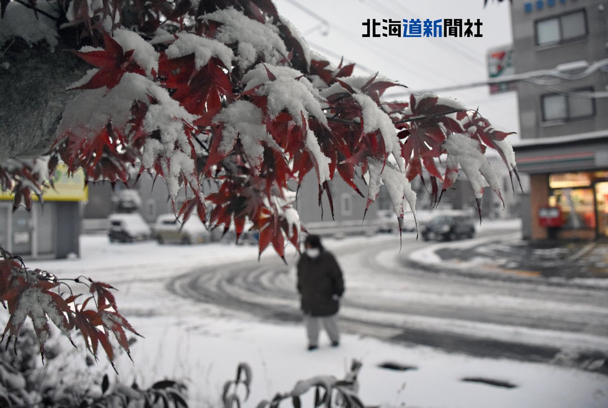 北海道札幌市中央区では11月8日午前8時までの24時間で13センチの降雪を