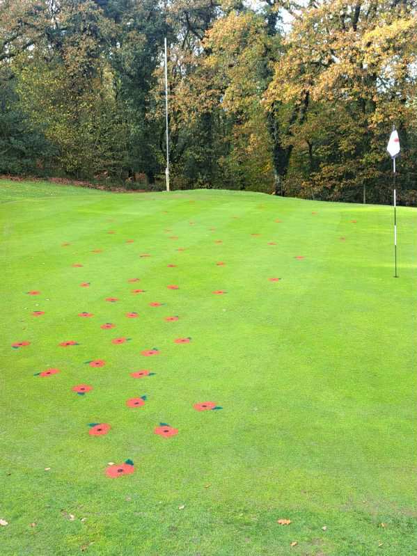 Okehampton Golf Club tweet media