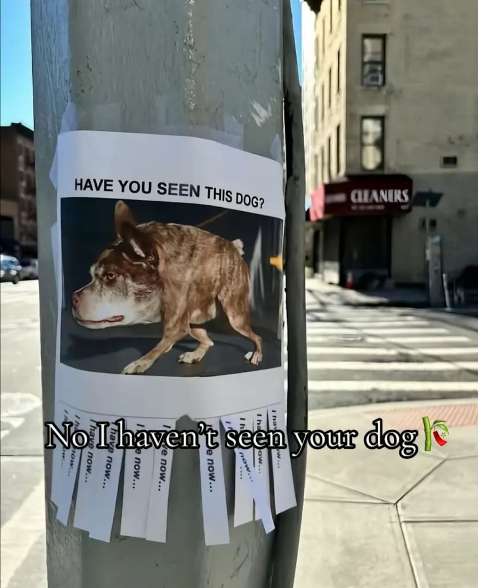 Webinex (@zaxweb) on Twitter photo 