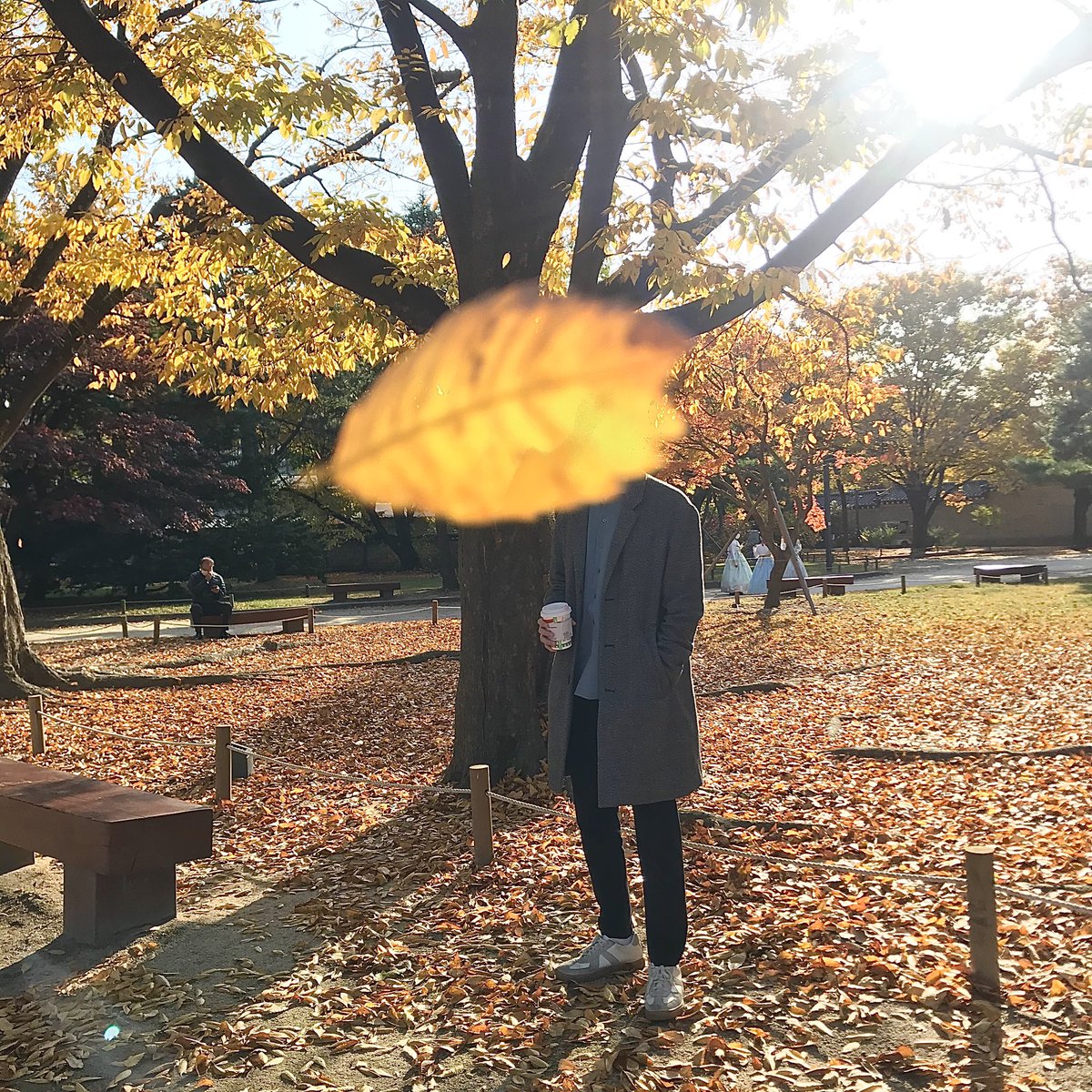 경복궁이요!! 가족들이랑 경복궁 놀러갔을때 동생 사진을 찍어줬는데 절묘하게 낙엽이 떨어졌어요 🍁🍂