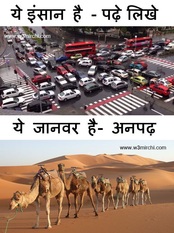 Tk Goswami Goswami 100% follow back 👍 (@tk_goswami) on Twitter photo 