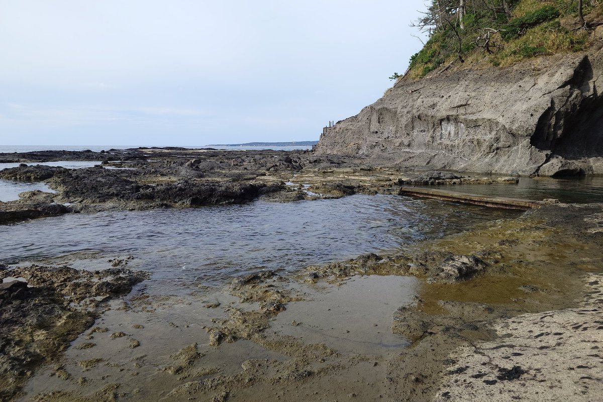 tomox_c's tweet image. 能登金剛を訪問