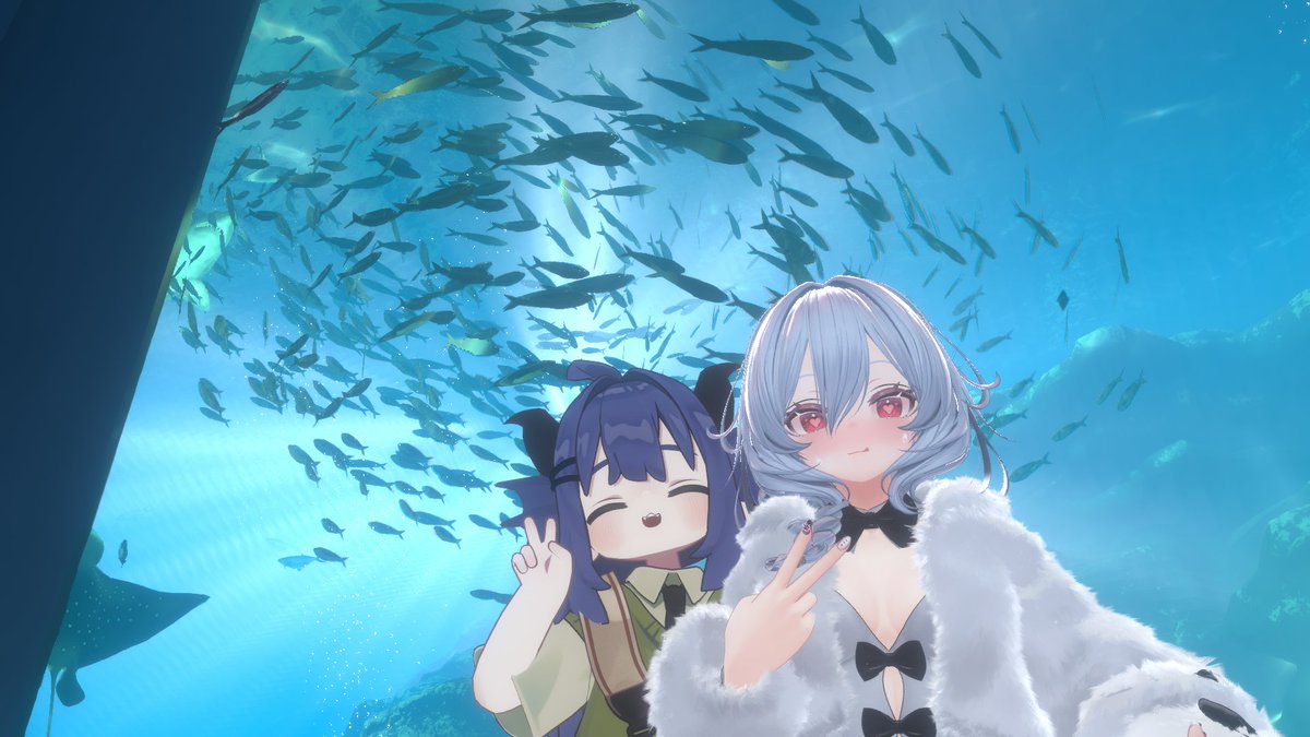 mashiroVRchat's tweet image. 水族館でーとしてきた！
マリンワールドワールド楽しかった！！

リュウグウノオトヒメノモトユイノキリハズシ、覚えました
ところでリュウグウノオトヒメノモトユイノキリハズシ皆さん知ってます？リュウグウノオトヒメノモトユイノキリハズシです（言いたいだけ）

#VRchat
#マリンワールドワールド