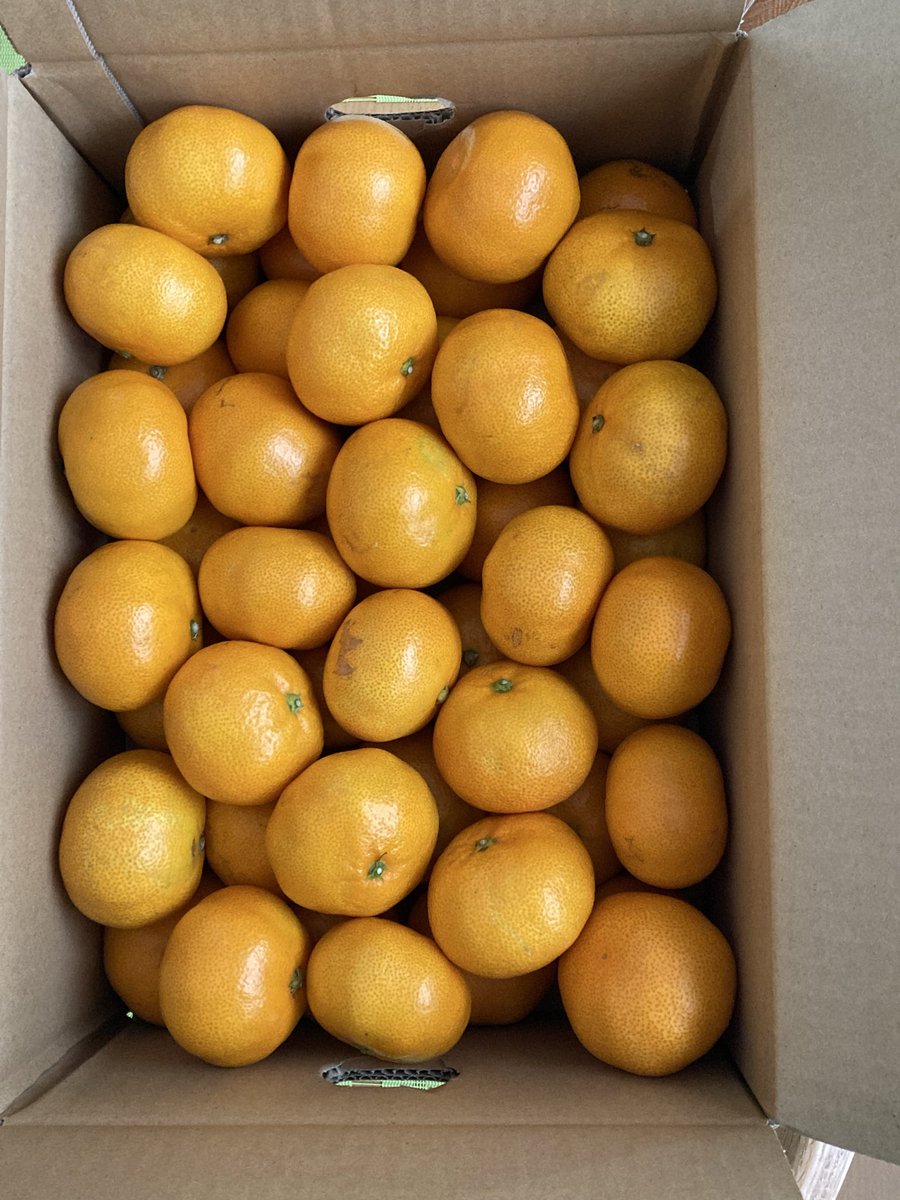 みかん様♡ありがとうございます♡ sachimo on X