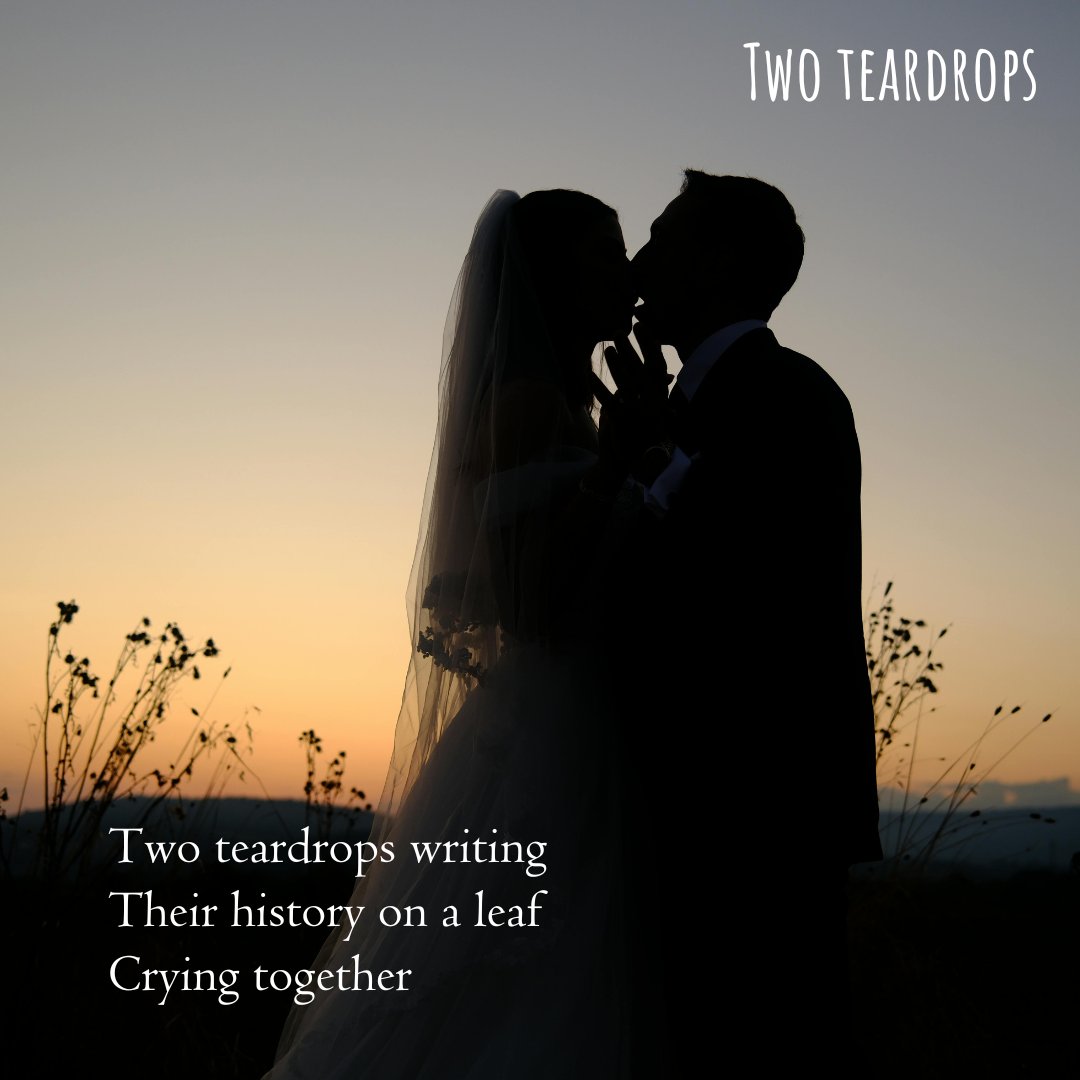 Nehasnotebook's tweet image. #vss365 #haiku #poetry