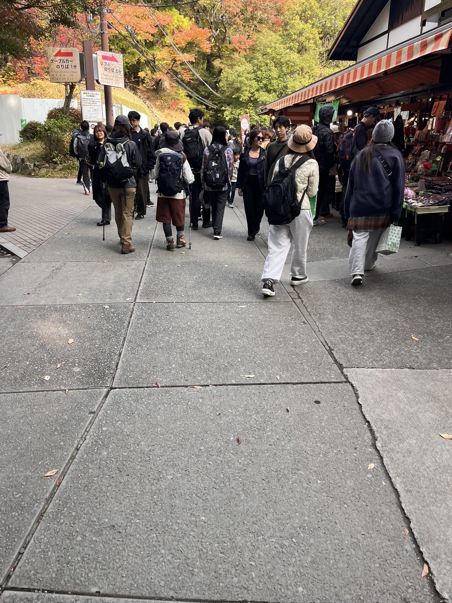 もやしほねほね（破壊と再生） on X