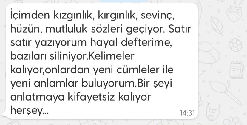 Birşeyi anlatmaya kifayetsiz kalıyor herşey.
