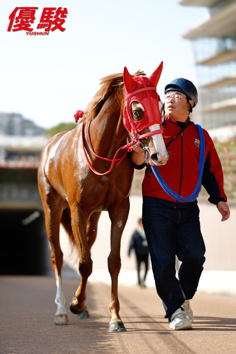 東京第6レース「2歳新馬」(芝1400m)は #岩田康誠 騎手騎乗の #レオ