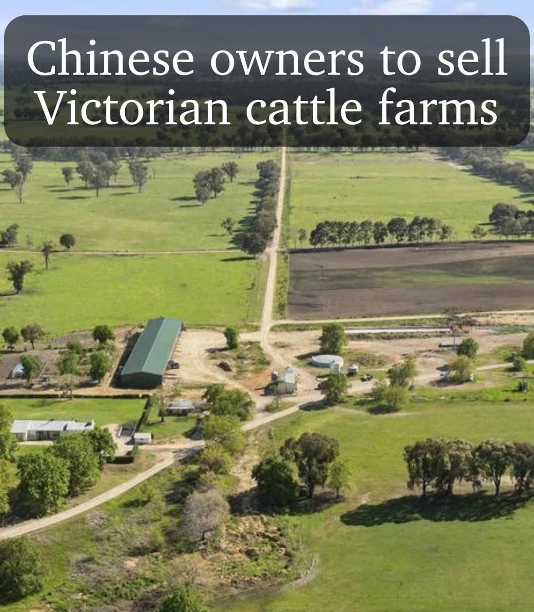 JillMarinelli1's tweet image. Even China realises that Victoria is cooked  .. ✔️✔️✔️