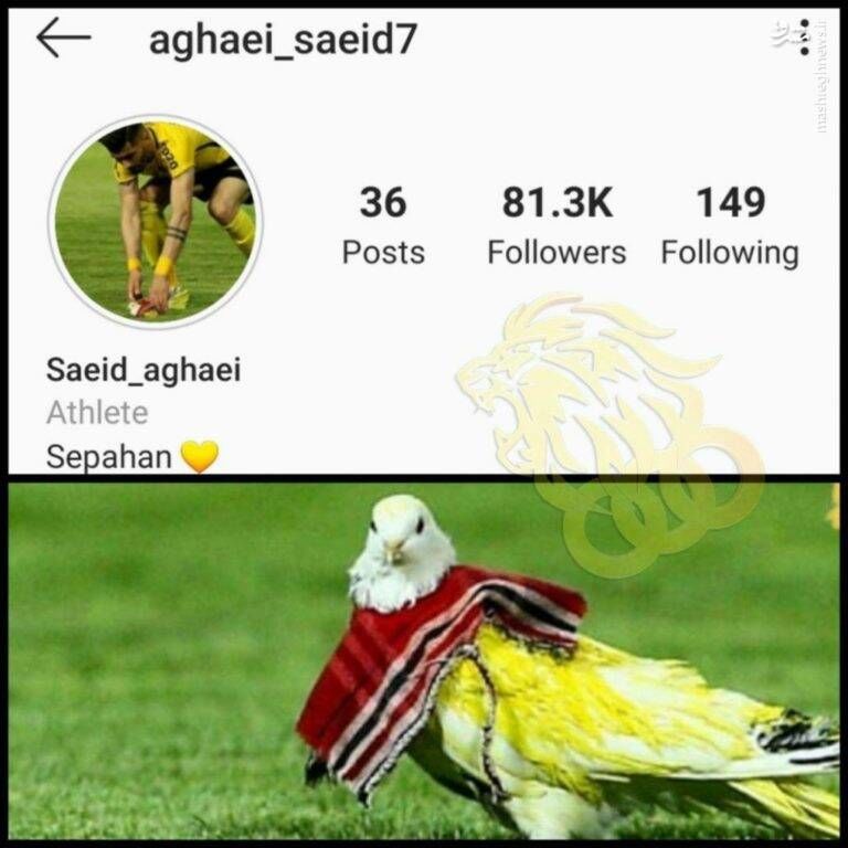 F.k 🇮🇹 tweet media