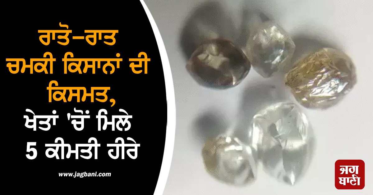 JagbaniOnline's tweet photo. ਮੱਧ ਪ੍ਰਦੇਸ਼ ਦੇ ਪੰਨਾ ਜ਼ਿਲ੍ਹੇ 'ਚ ਸਿਰਸਵਾਹਾ ਨਿਵਾਸੀ ਬ੍ਰਜੇਂਦਰ ਕੁਮਾਰ ਸ਼ਰਮਾ ਨੇ ਆਪਣੇ ਛੇ ਸਾਥੀਆਂ ਨਾਲ ਮਿਲ ਕੇ ਛੇ ਮਹੀਨੇ ਪਹਿਲਾਂ ਭਰਕਨ ਹਾਰ ਖੇਤਰ ਵਿੱਚ ਇੱਕ ਹੀਰੇ ਦੀ ਖਾਨ ਦਾ ਠੇਕਾ ਲਿਆ ਸੀ। ਖ਼ਤ ਮਿਹਨਤ ਦੇ ਨਤੀਜੇ ਕਾਰਨ ਅੱਜ ਉਹਨਾਂ ਨੂੰ ਖੁਦਾਈ ਦੌਰਾਨ ਖੇਤ ਵਿੱਚੋਂ ਪੰਜ ਹੀਰੇ ਮਿਲੇ।
#Farmer #luckshines #found #5diamonds https://t.co/PGYbVwHHPn