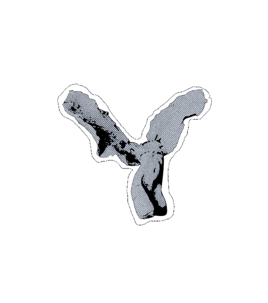 ‍‍ ‍‍ ‎‎𝕾AVIOR‍‍ ‍‍ ‎‎ ‍ *̲ ‍ ‍‍ ‍‍ ‎‎COMPLEX. ‍‍ (@guilltines) on Twitter photo 