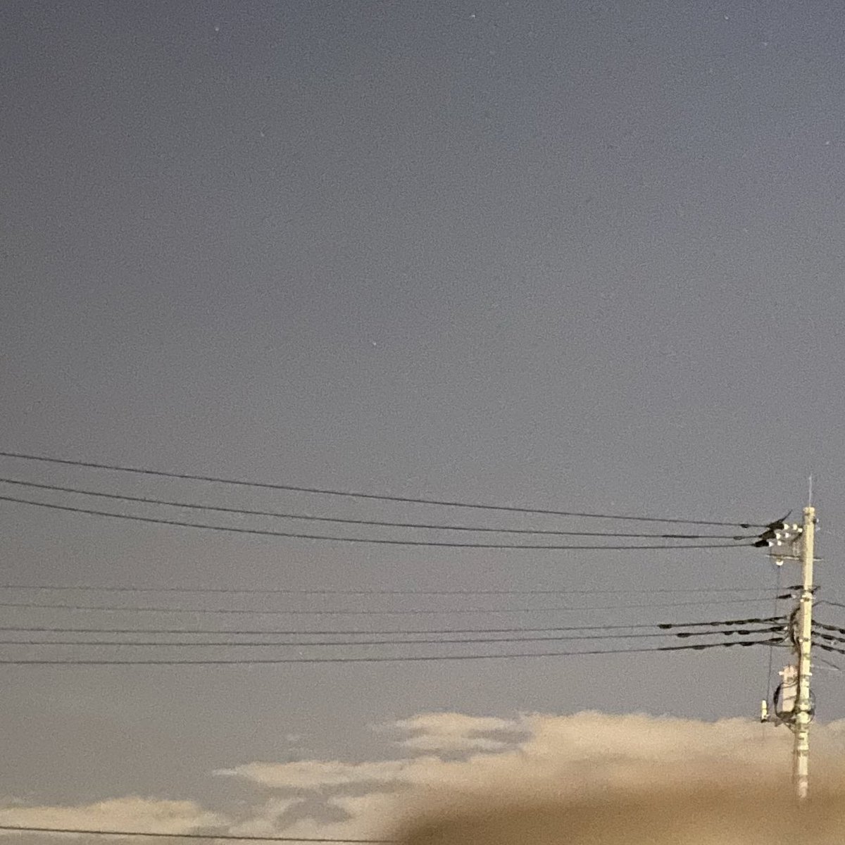 MICCHAN8_8GENIE's tweet image. これ昨日の帰り道
悪寒の最中、オカンはLemmon彗星を撮るのに日々空へ向けてシャッターを切ってた
Twitterなので尾が伸びテイルのがわかりにくい
#C2025A6Lemmon