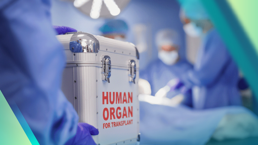 Darf ein Mensch ein Stück seines Körpers spenden, um das Leben eines anderen zu retten? Dieser Beitrag verbindet medizinisches Wissen mit islamischer Ethik und zeigt, wann die Lebendorganspende erlaubt ist – und wann nicht. 

💠Mitgliedschaft erforderlich: izrs.ch/islamisch-ethi…