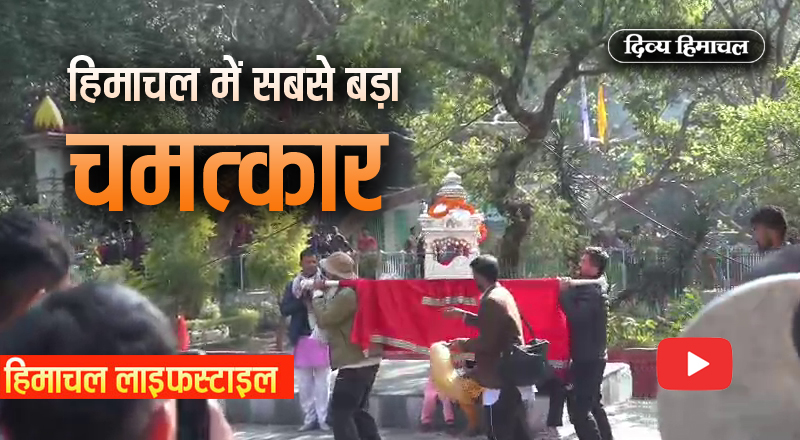 DivyaHimachal's tweet image. हिमाचल में सबसे बड़ा दैवीय चमत्कार, जिसने भी देखा, दंग रह गया, वीडियो में देखिए सच्चाई
#Srirenukaji #sirmour #renuka #parshuram #incredibleHimachal #himachalpradesh #divyahimachal
divyahimachal.com/2025/11/the-bi…