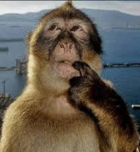 vimi ♡ tweet media