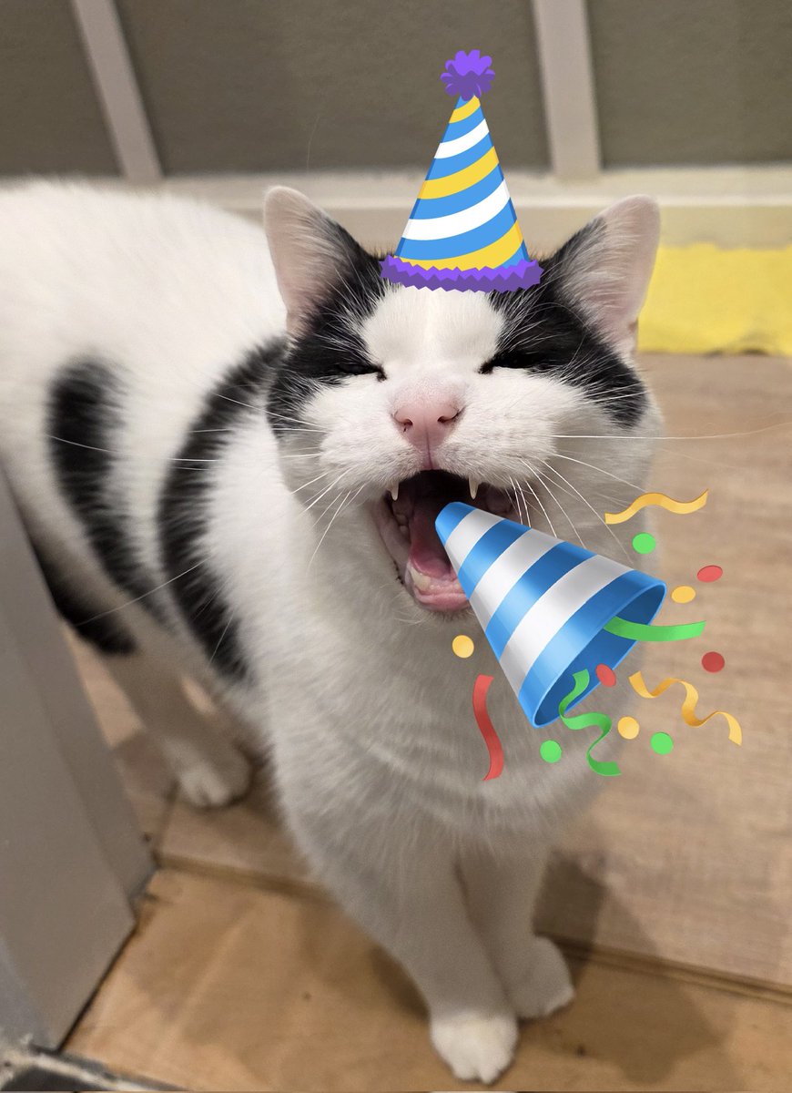 GizmoF2016's tweet photo. Vandaag 9 jaar geworden... kom maar op met de cadeaus... https://t.co/q1xTsqQ3ai