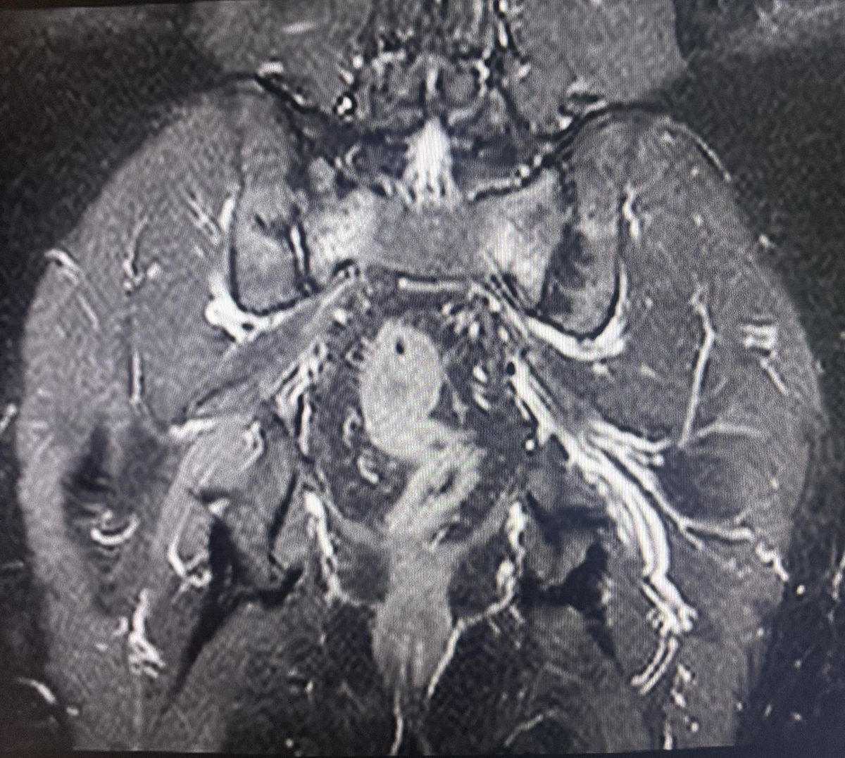 Dr.Yevvari Sameera tweet media