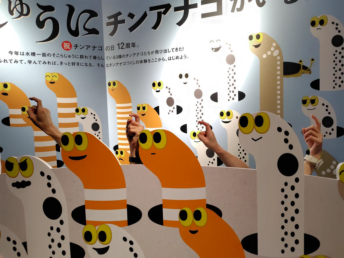 チンアナゴ∈'＾'∋ すみだ水族館【公式】 on X: 