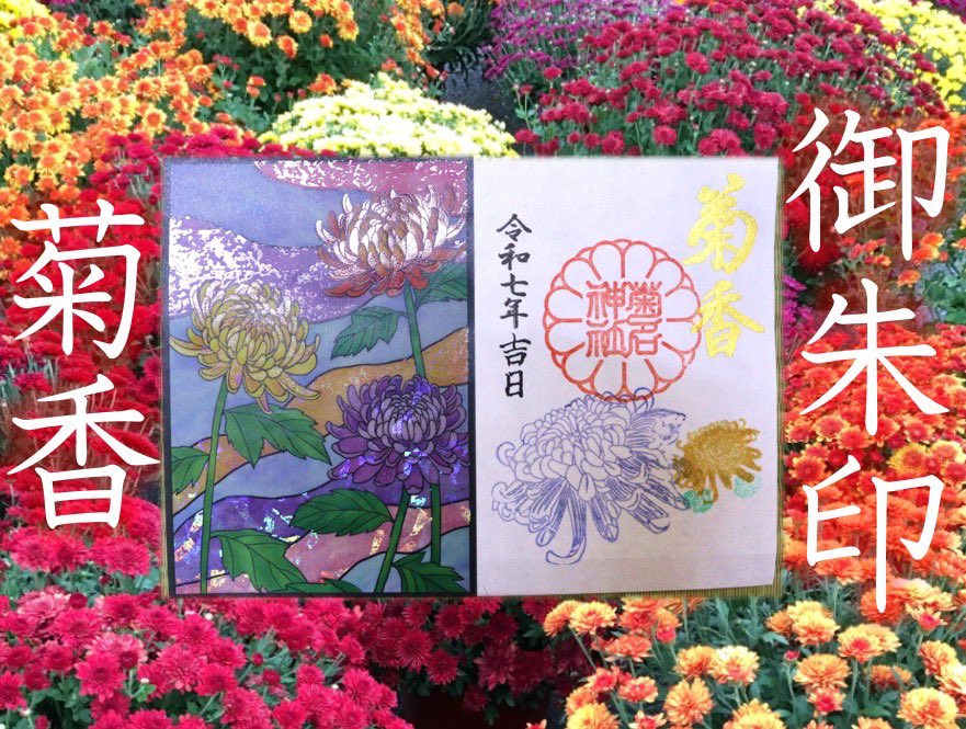 先日より箔押しの限定御朱印「菊香」を頒布しております。 御朱印帳に