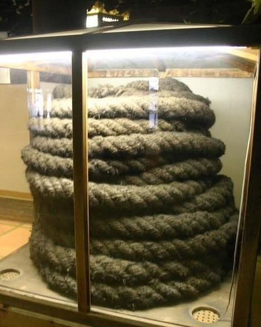 Dr. M.F. Khan tweet media