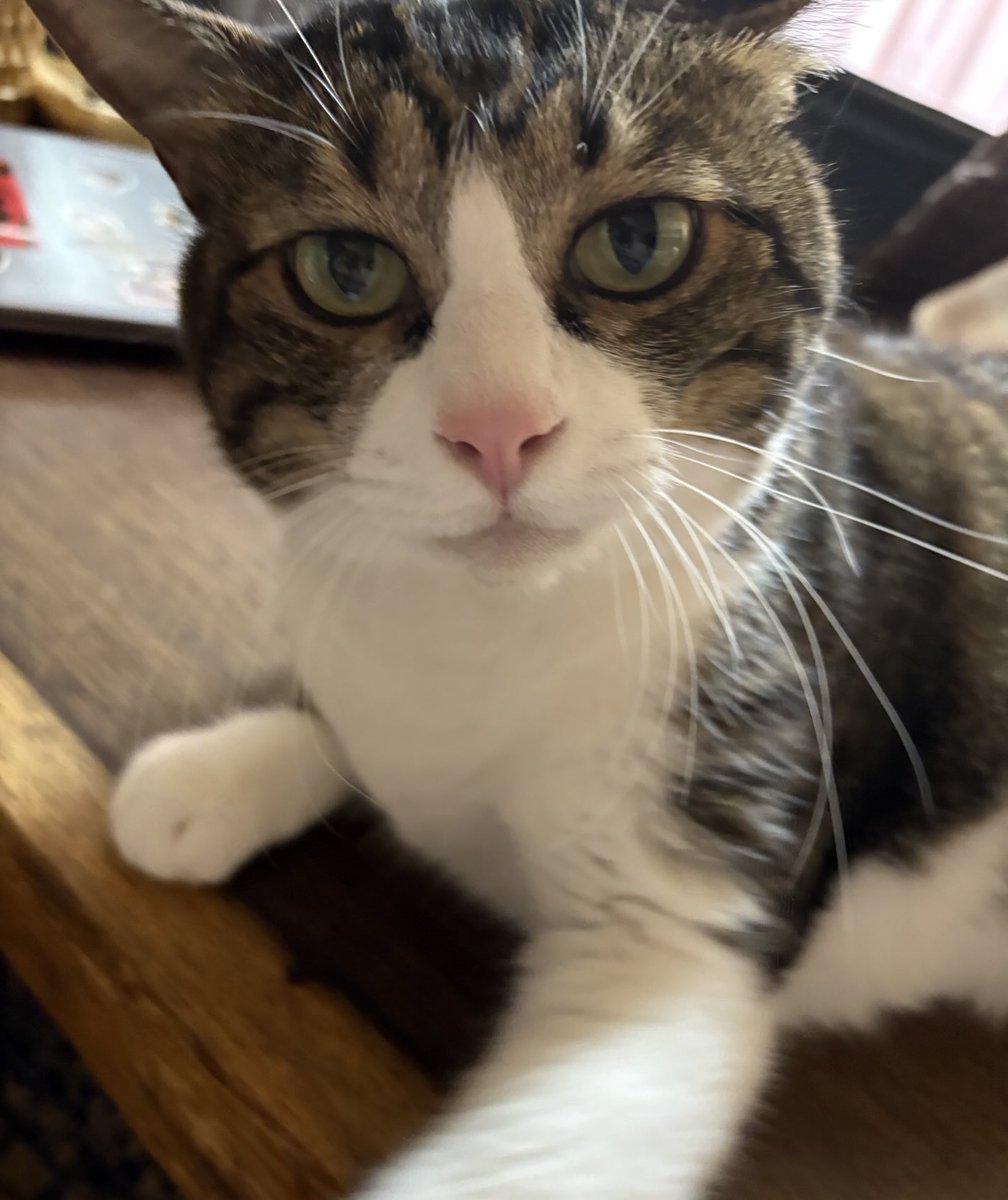 パリピア😻✨ on X