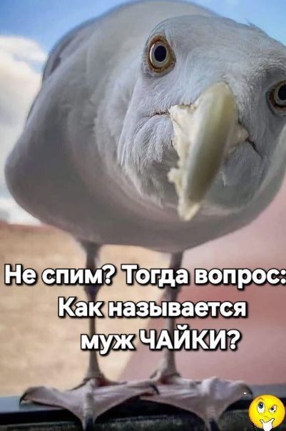 Elena tweet media