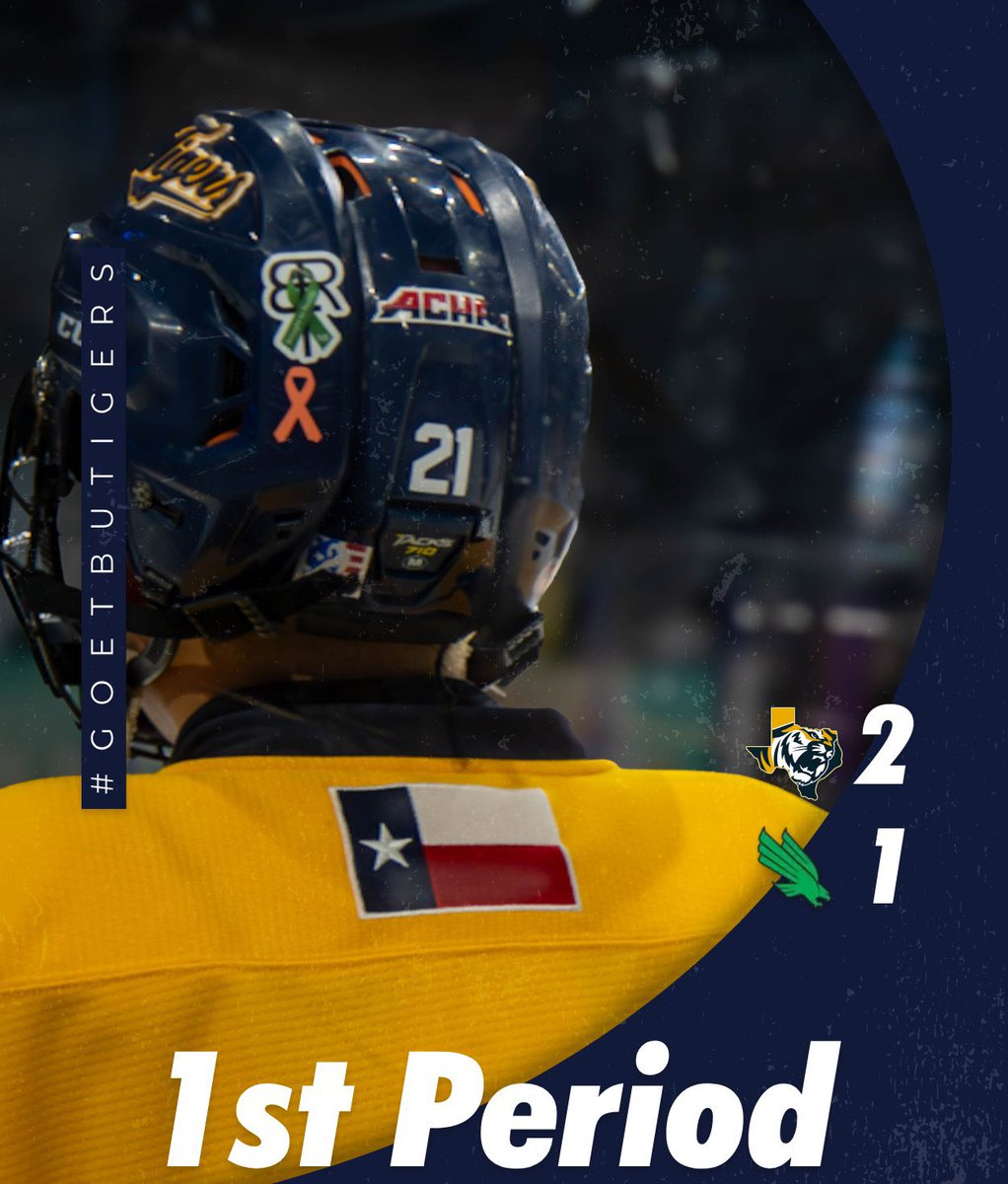 KEEP IT UP TIGERS!!!🐅