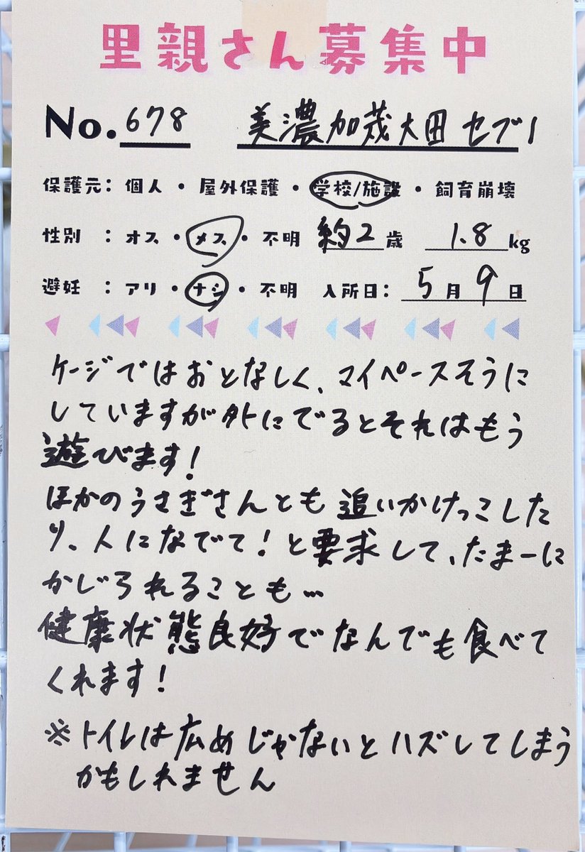 うさぎとひとの幸せを支える会🐰🐰@ペットショップではなく保護うさぎ