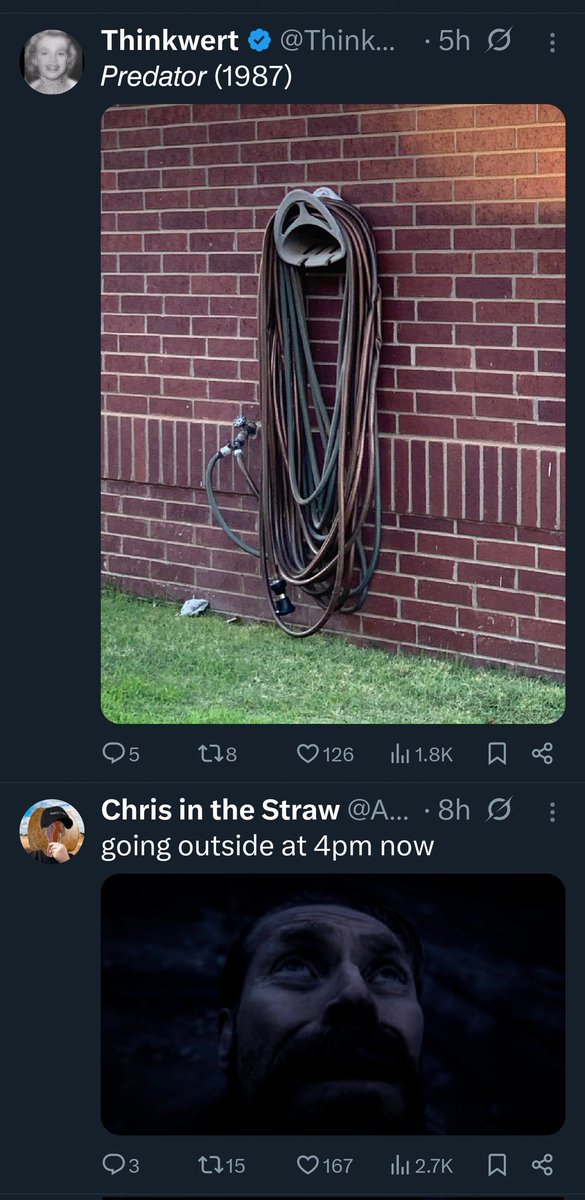 pallendromeda tweet media