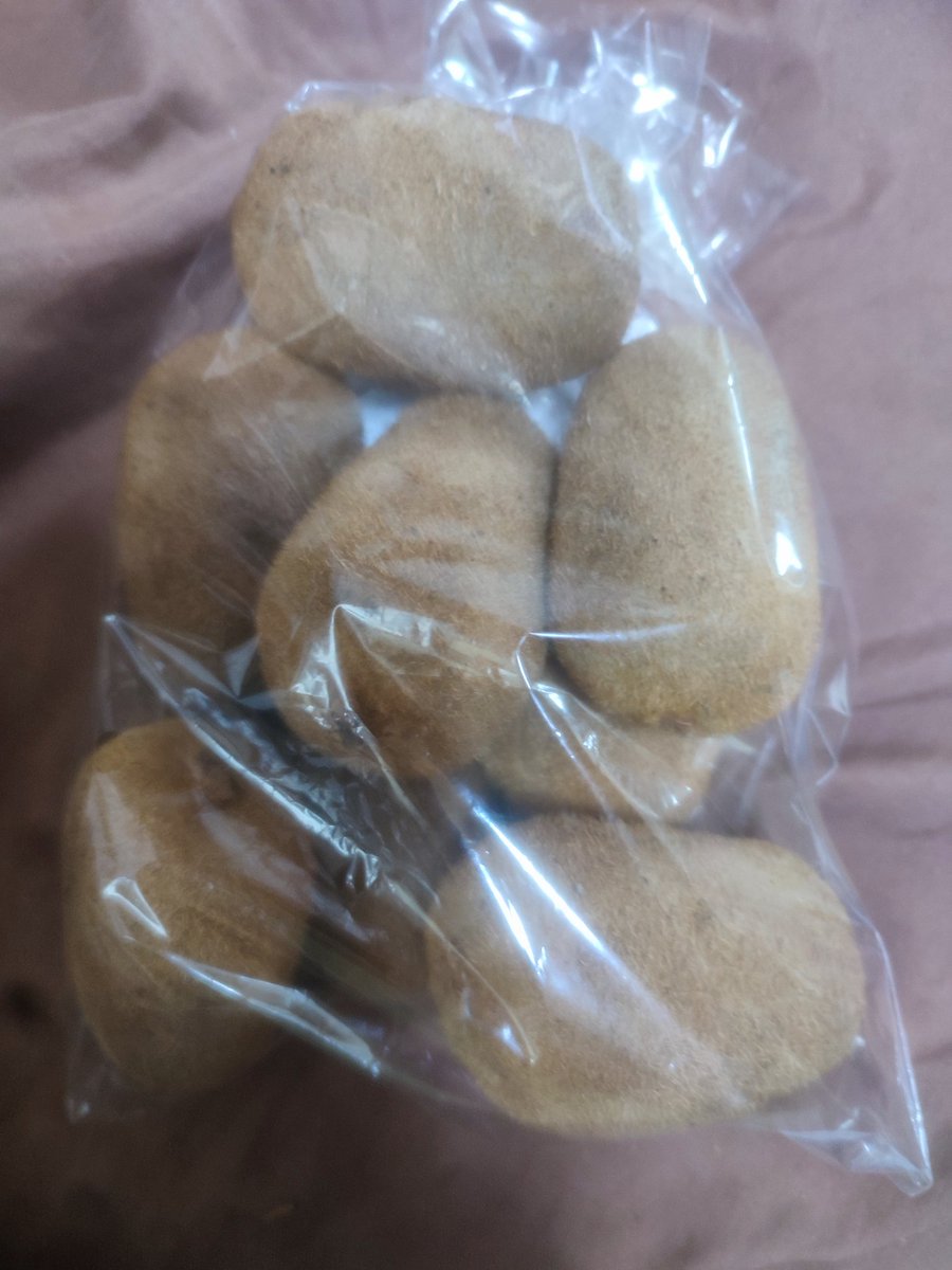 oliveetajima's tweet photo. 江田島市のふれあいプラザさくらさんで、地産のキウイ🥝が8個入って200円で売ってます。まだ出始めなのでリンゴと一緒に保存すると柔らかくなるみたい。 https://t.co/6o60n1rW7N