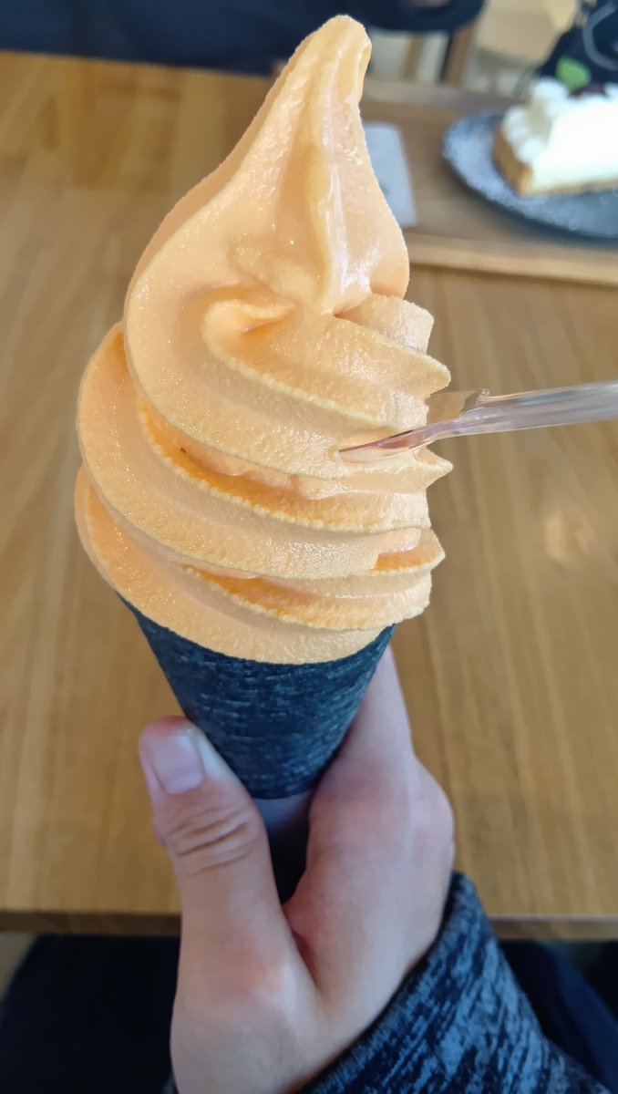 ヒスイ海岸観光交流拠点施設ヒスイテラスのメロンソフト美味しかった！(⁠≧⁠▽⁠≦⁠)
#ヒスイ海岸観光交流拠点施設 ヒスイテラス