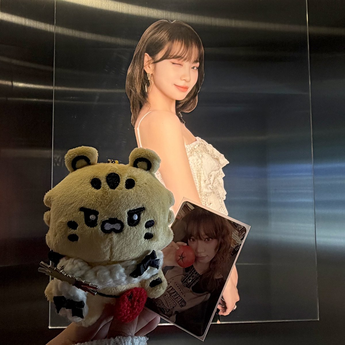 ルセラフィム 中国 上海 countingstars サクラ 当選者限定 ルセラフィム 中国 上海 countingstars 当選者限定 5枚セット ル