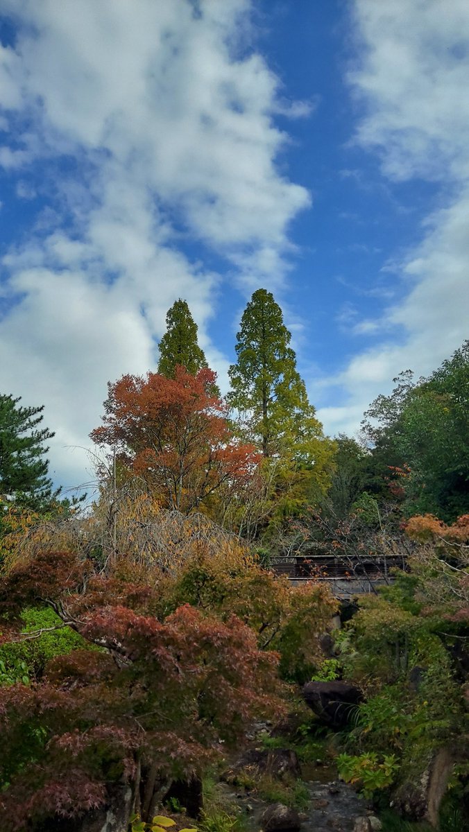 🌸🐍☆のんき☆🐍🌸 on X