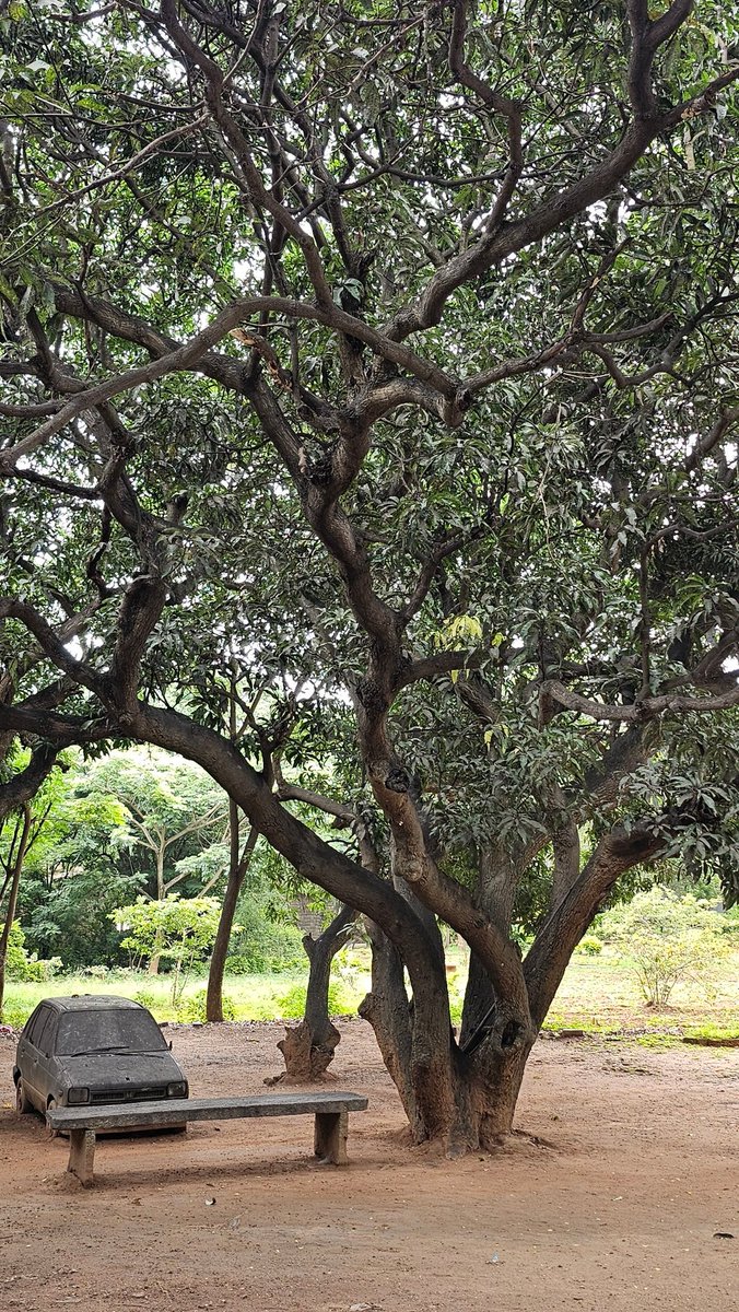 Adarshvs15's tweet photo. Saturday🧘‍♂️ https://t.co/pmPK5fNRHV
