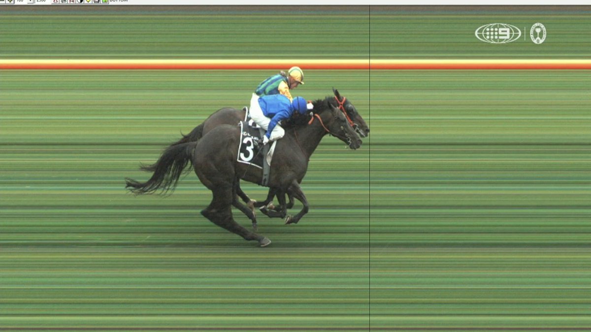 We see it but we don't believe it 🤯

🎥 <a href="/wwos/">Wide World of Sports</a> | #StakesDay | #MelbCupCarnival