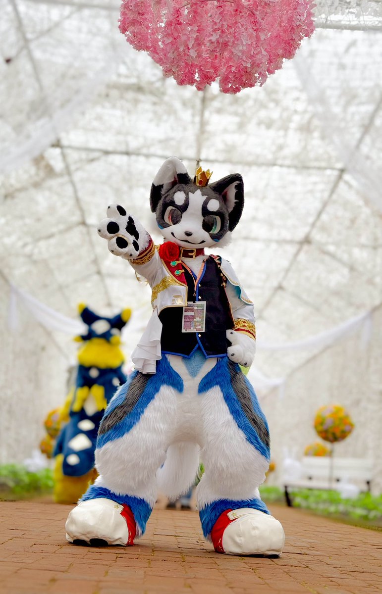 僕の新しい手作り衣装だよ〜！👑✨️

 #kemocon18  #RHKfamily