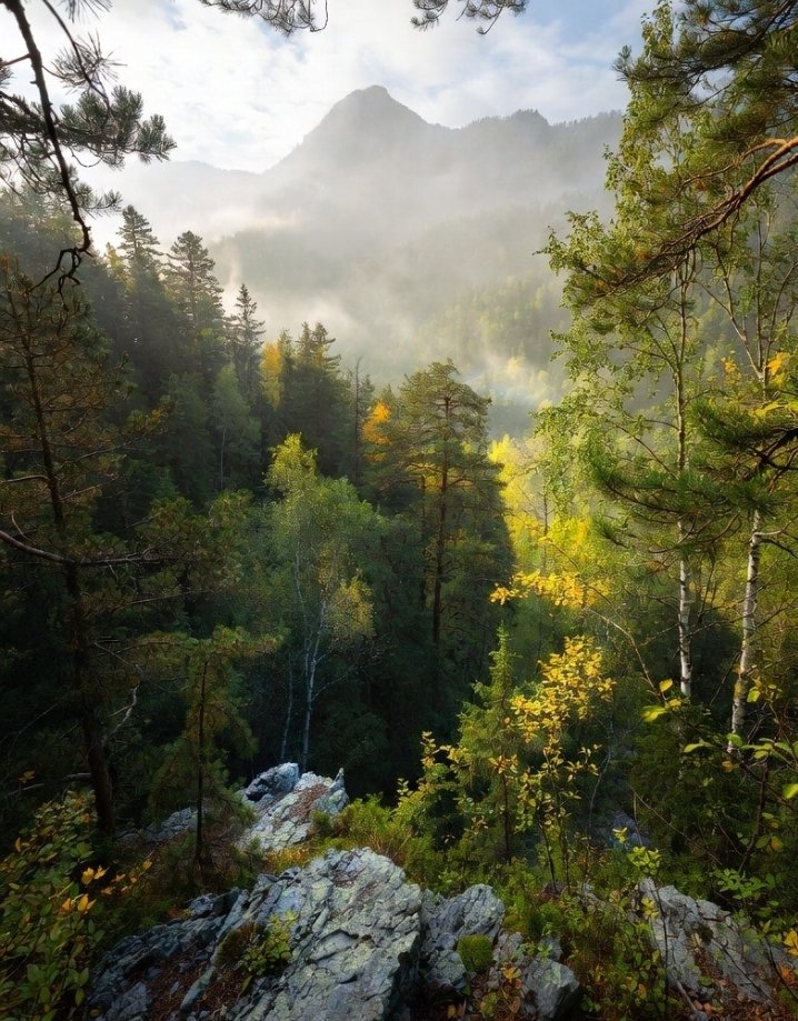 gQuack everyone 

Starting weekend with <a href="/wardenprotocol/">Warden</a> and <a href="/spaace_io/">Spaace 🟠</a> 

Weekends are best for Wallchain quacker .If you believe in Warden Protocol and Spaace io let's connect and Magic together