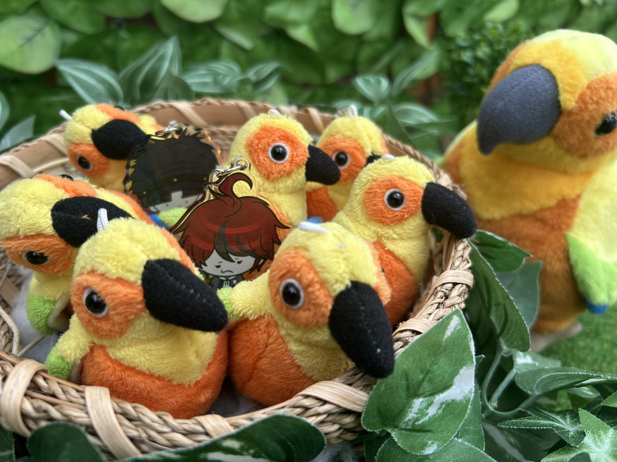 犬猫類 (@inuneko35) on Twitter photo 