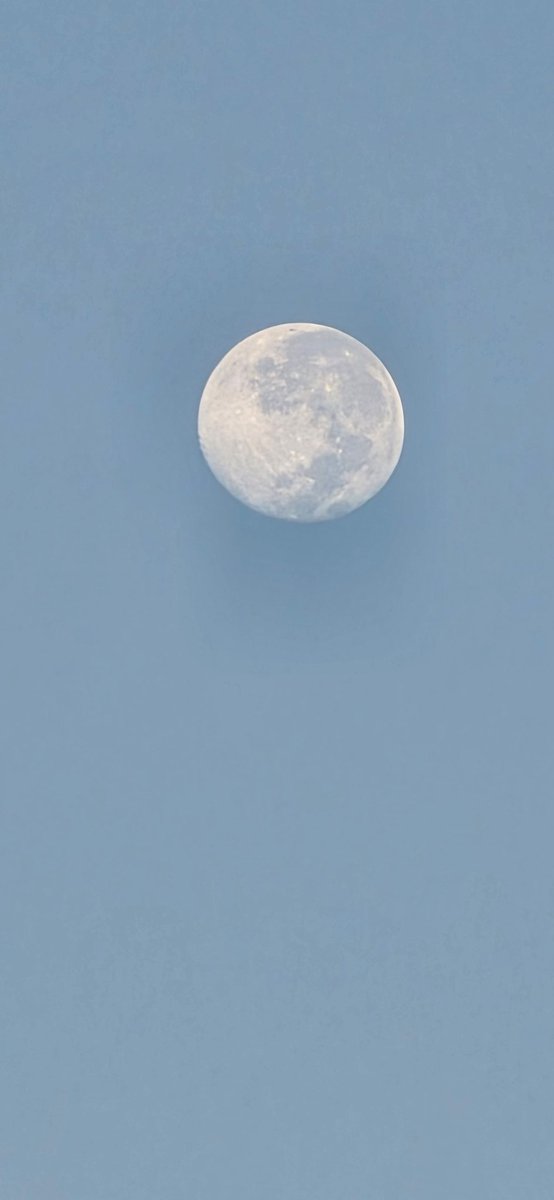 abdul2277tt's tweet photo. Rise and shine! Caught the moon before sunrise around 5:30-6 AM

#morningmoon #daytimemoon #inthesky #moon #morningvibes☀️ #skymagic #nature #natural #moonshot2025 #moon #beutiful #nature #NaturePhotography https://t.co/iWG21DFdIq