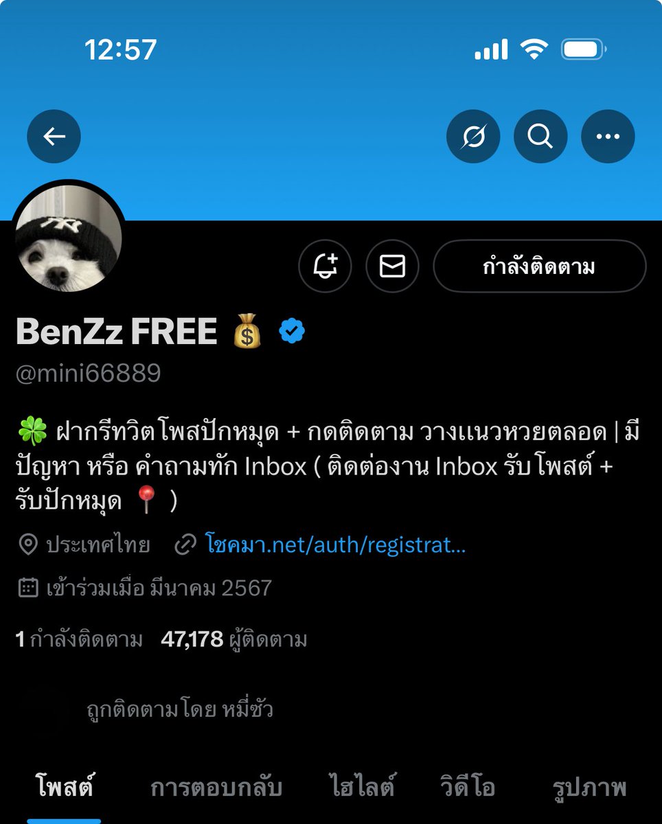 🎱 tweet media