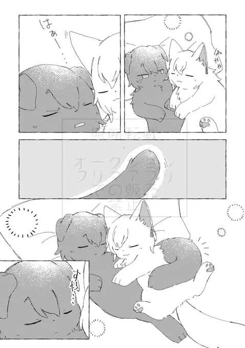 (6/6) 