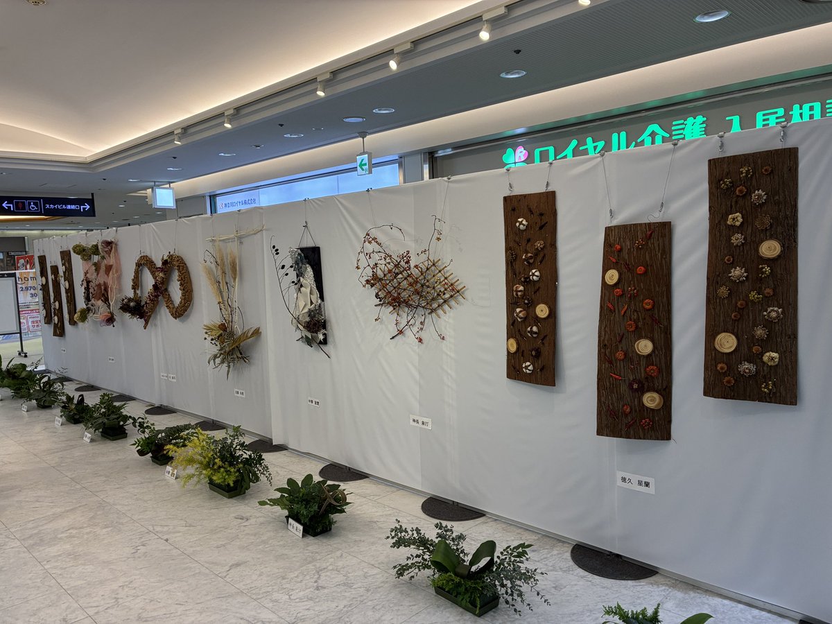 kitazawacon's tweet photo. お客様の社中展にお邪魔してきました。
草月流いけばな 徳久星蘭 社中展2025
#いけばな https://t.co/bWISeImdwR