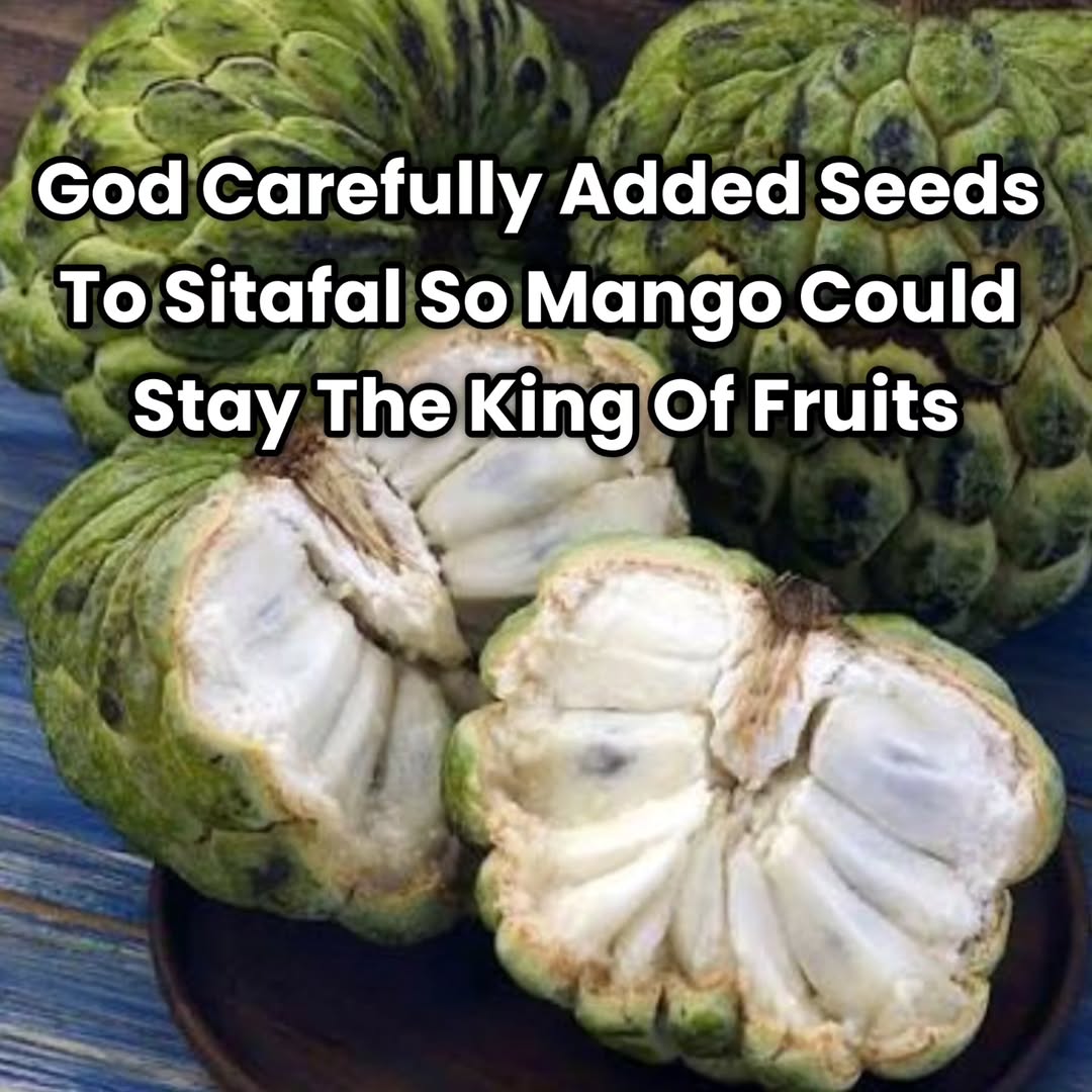 Dank_jetha's tweet image. Underrated fruit