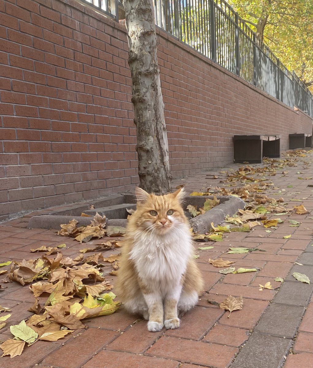 Farkındayız burdasın;))
Yine bulmuşuzdur 😎
#günaydınovakit ✨